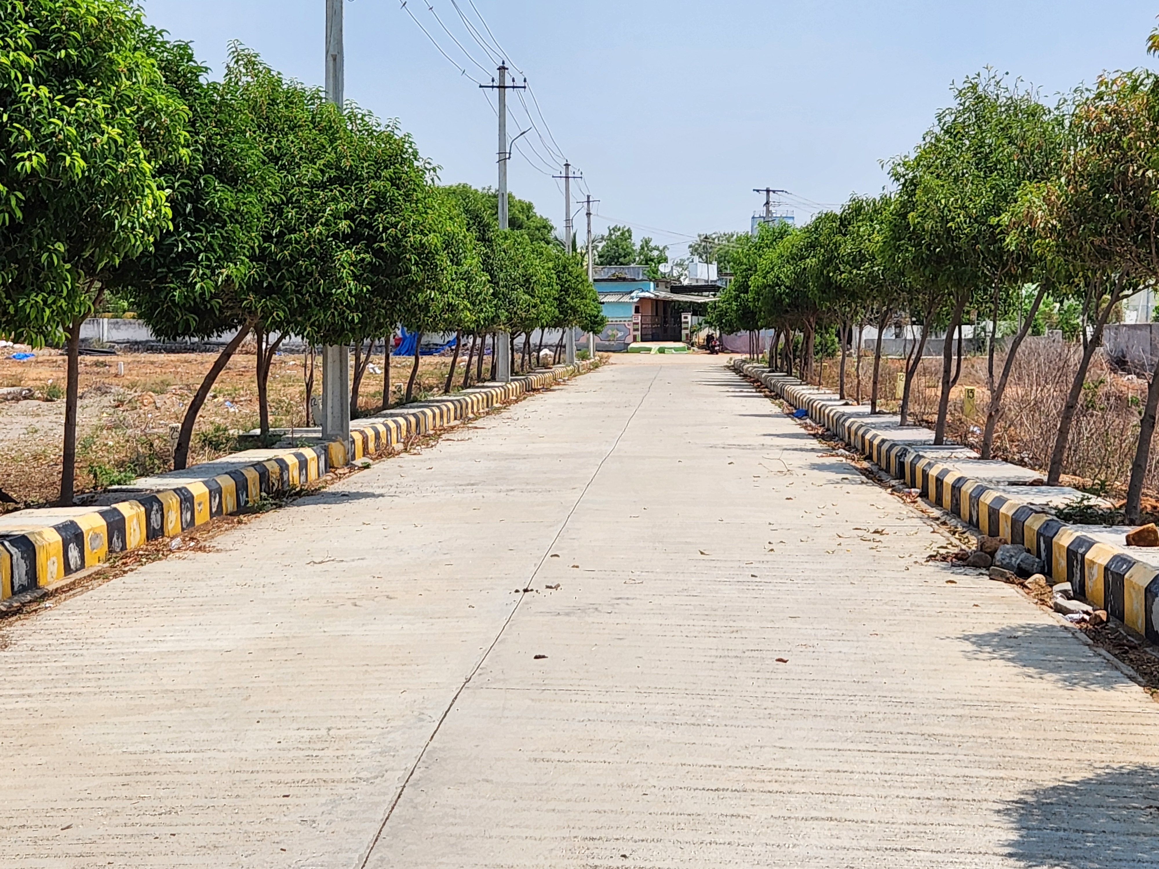 ever mark properties